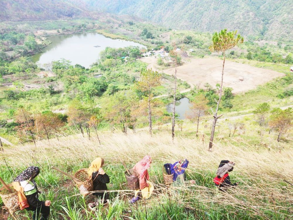 A group of women heading to the fields in Lütsam Village under Phek District.